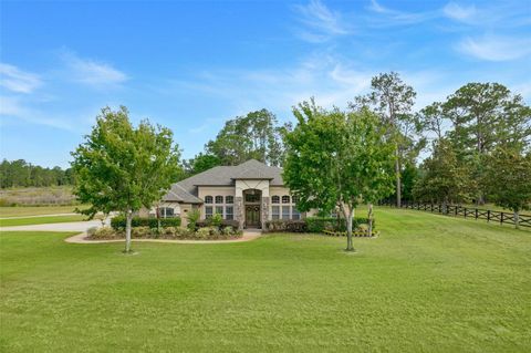 Tiny photo for 21320 Marsh View Court, Clermont, FL 34715 (MLS # G5111750)