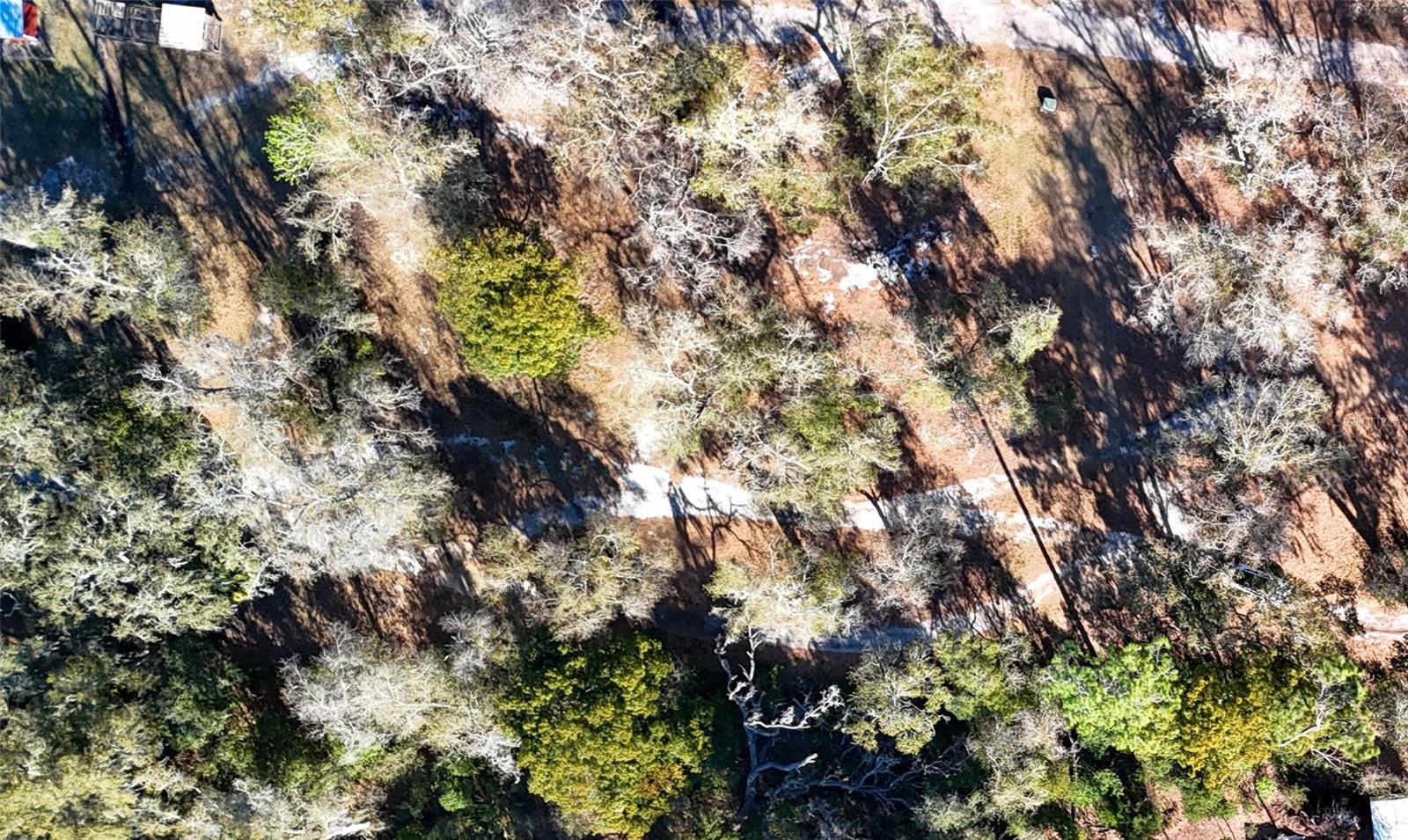 MOCKINGBIRD RESERVE - Land