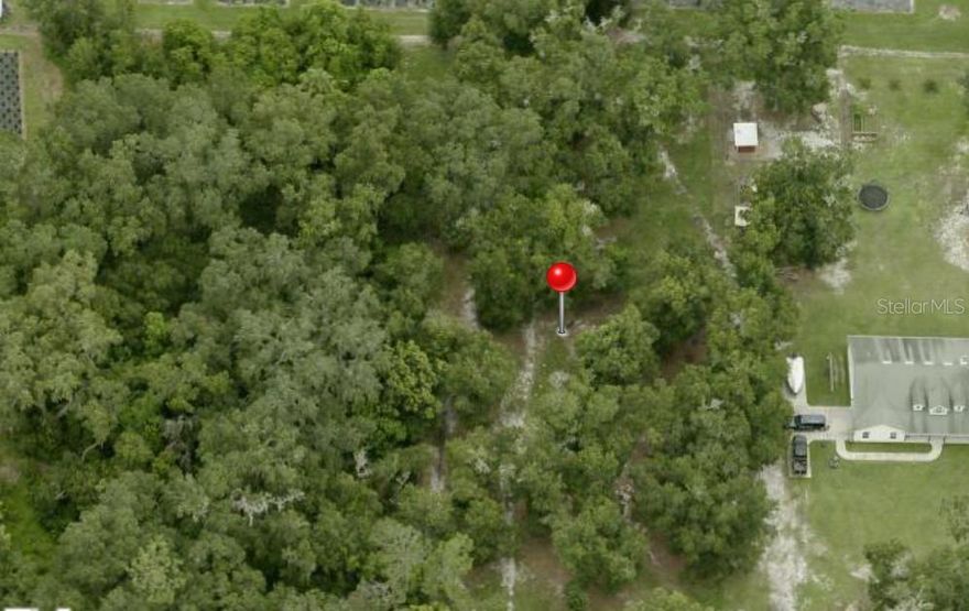 Build your dream home on this stunning one acre lot in convenient, peaceful, and charming neighborhood. Enjoy privacy of shady woods with mature trees bordered by a tree farm on two sides.  No HOA, Open Builder; Conveniently located near Interstate 4, this parcel offers quick access to Tampa, Orlando, and Lakeland, as well as top-rated schools, shopping, dining, and recreational parks; Just 6 miles from the Florida Strawberry Festival, this prime location blends tranquil living with urban convenience; This property offers the perfect canvas for creating your perfect home; Construct-ability assessment included; Don’t miss out on this rare opportunity to build in the heart of the "Winter Strawberry Capital of the World”