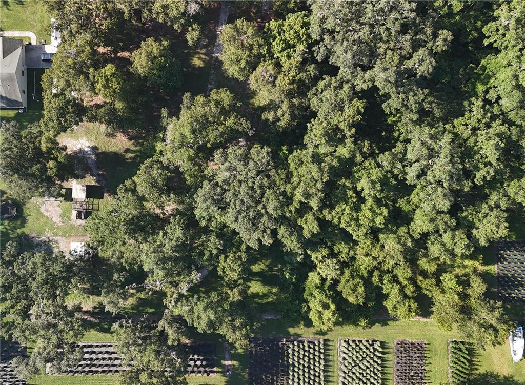 Photo of 3015 Owls Nest Lane, Plant City, FL 33565 (MLS # GC537869)