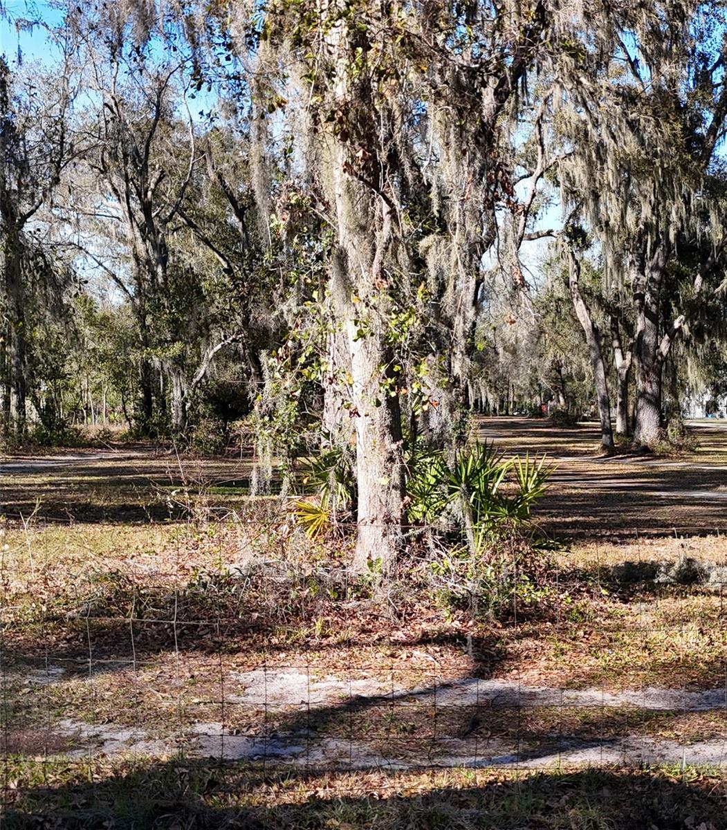 MOCKINGBIRD RESERVE - Land