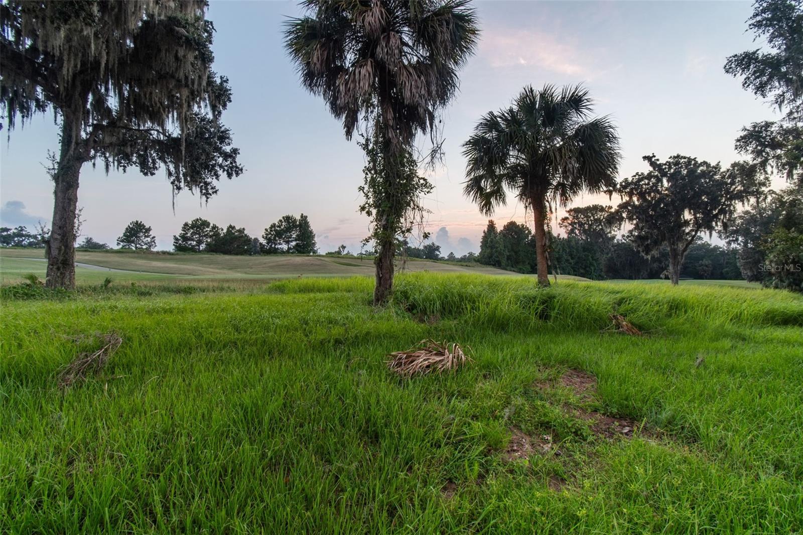 SOUTHERN HILLS PLANTATION - Residential