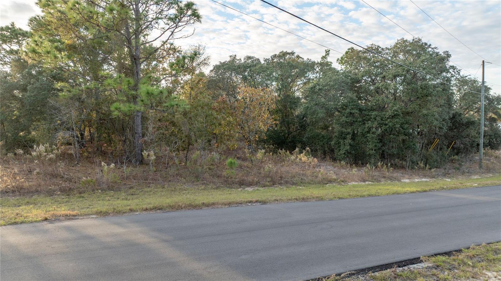 CITRUS SPGS UNIT 23 - Land