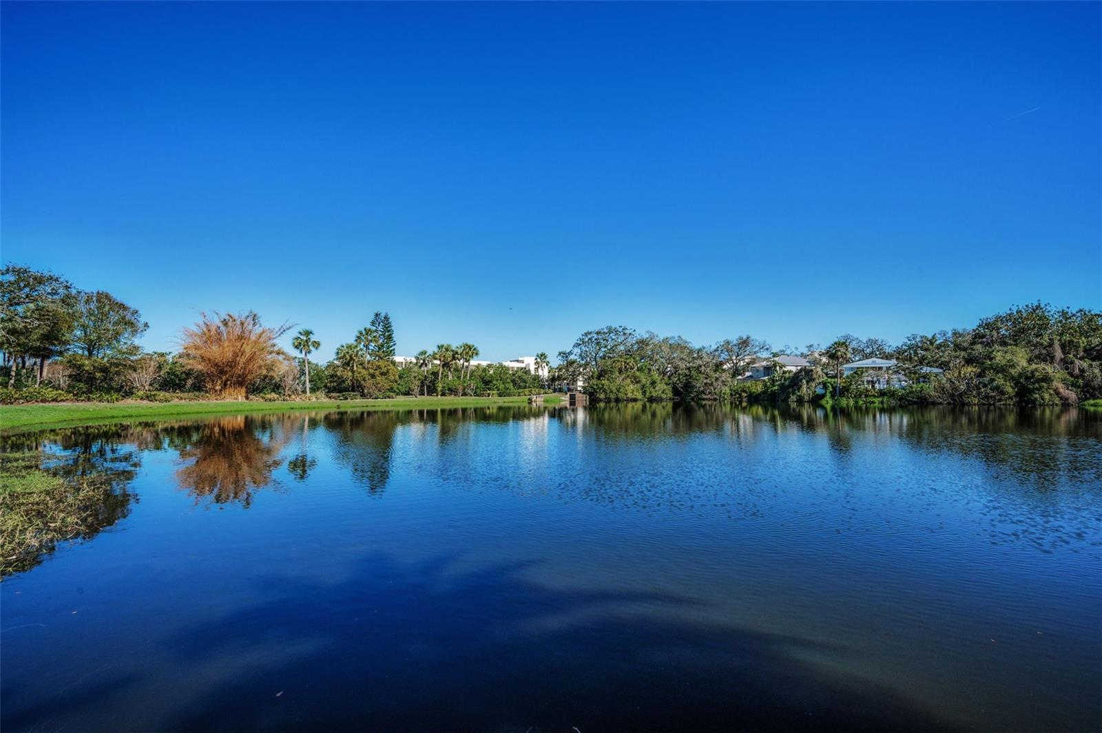 BELLEVIEW BILTMORE VILLAS OAKS 150 - Residential