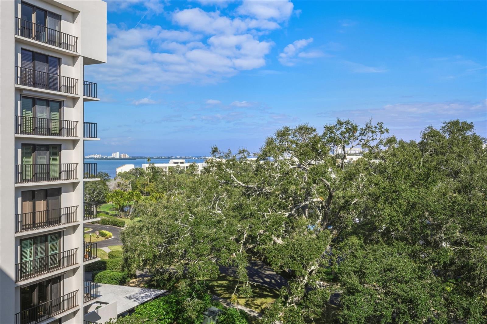 BELLEVIEW BILTMORE VILLAS OAKS 150 - Residential