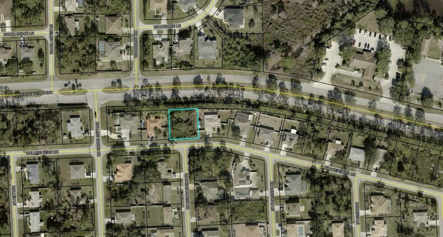 Great lot, close to Town Center, shops, entertainment, restaurants, schools and churches. Only 10 minutes to beautiful Flagler Beach. Flagler County is a fast growing location. Don't miss out on this one, build your dream home here!!