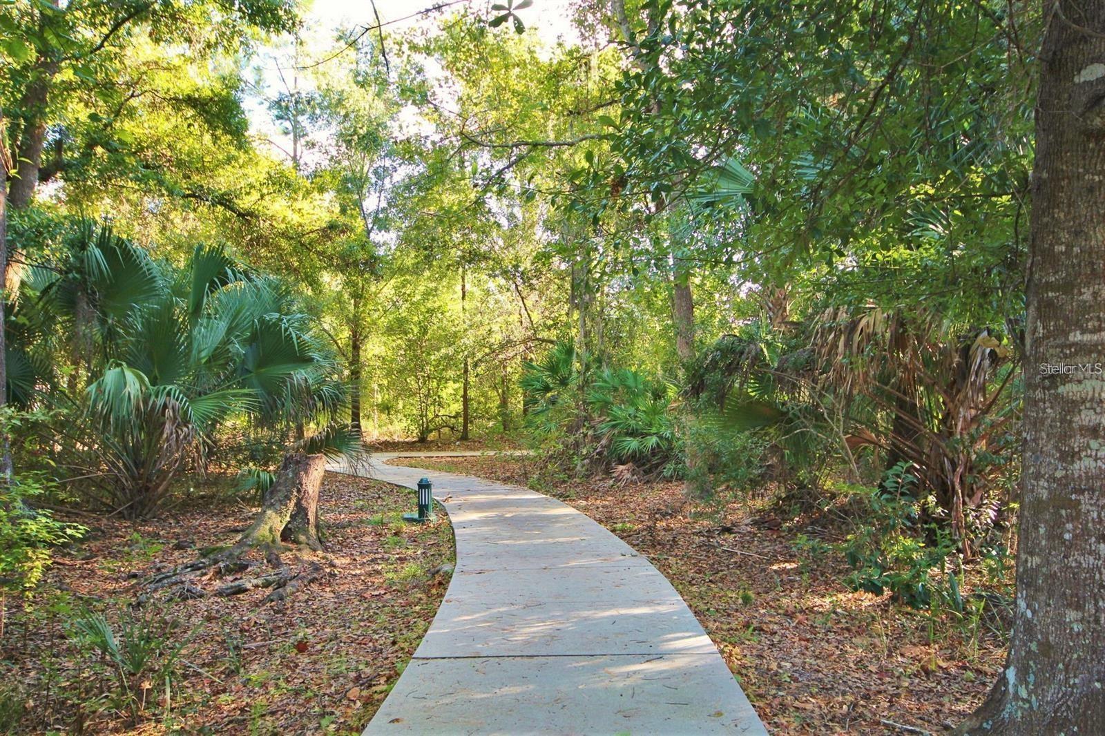 SIENA AT CELEBRATION CONDO B - Residential