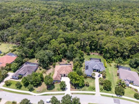 A home in PALM COAST