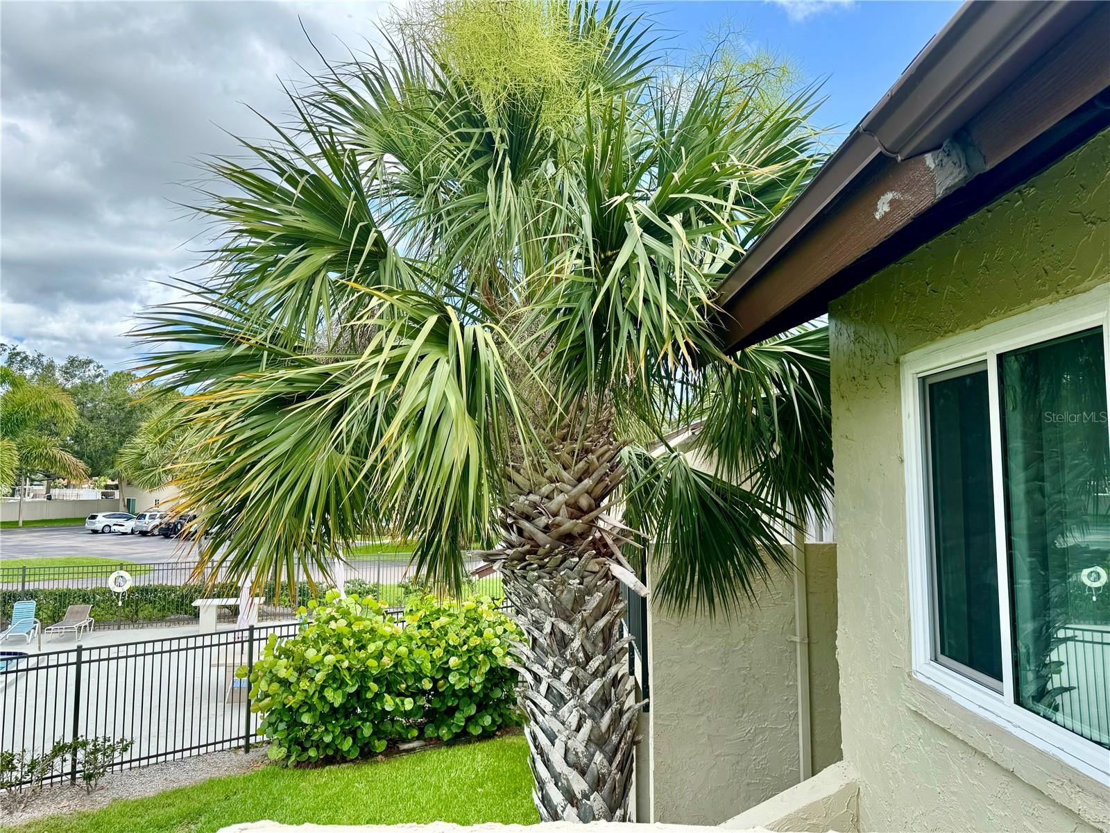 WOODSIDE VILLAGE CONDO - Residential