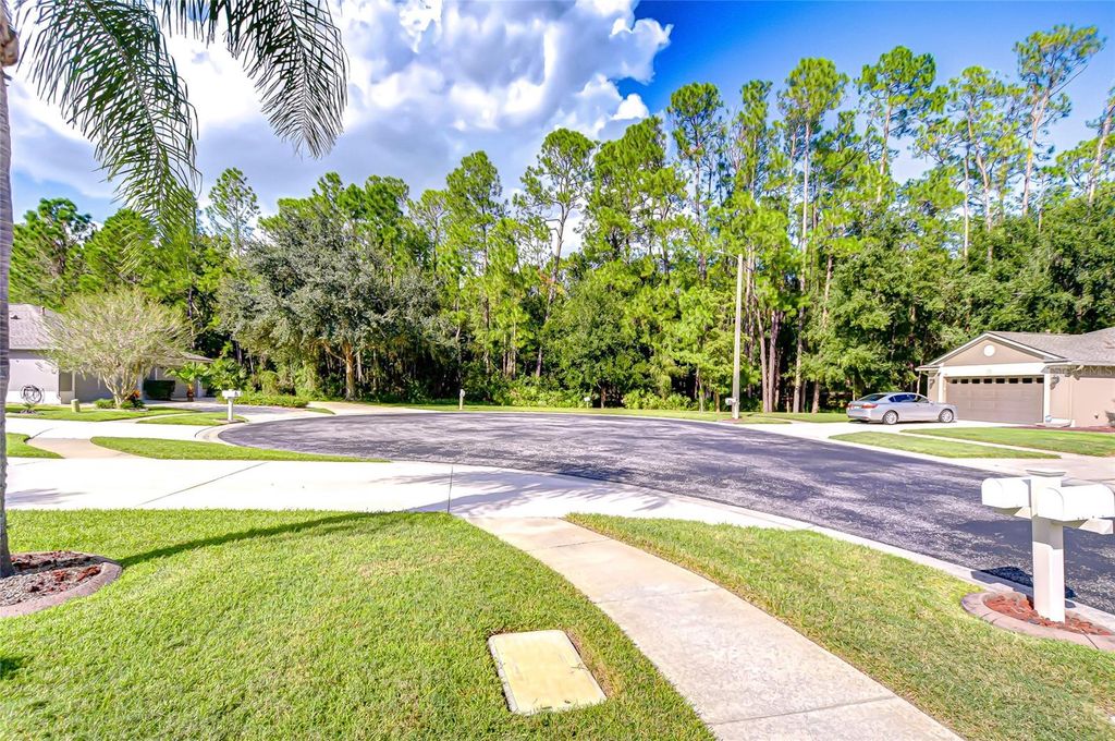 Photo of 1131 Wrightswynde Court, Wesley Chapel, FL 33543 (MLS # TB8435624)