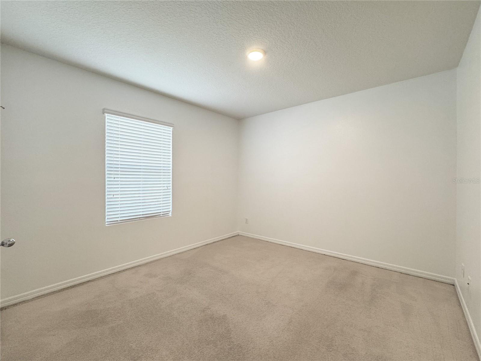316 TANGLEWOOD DRIVE