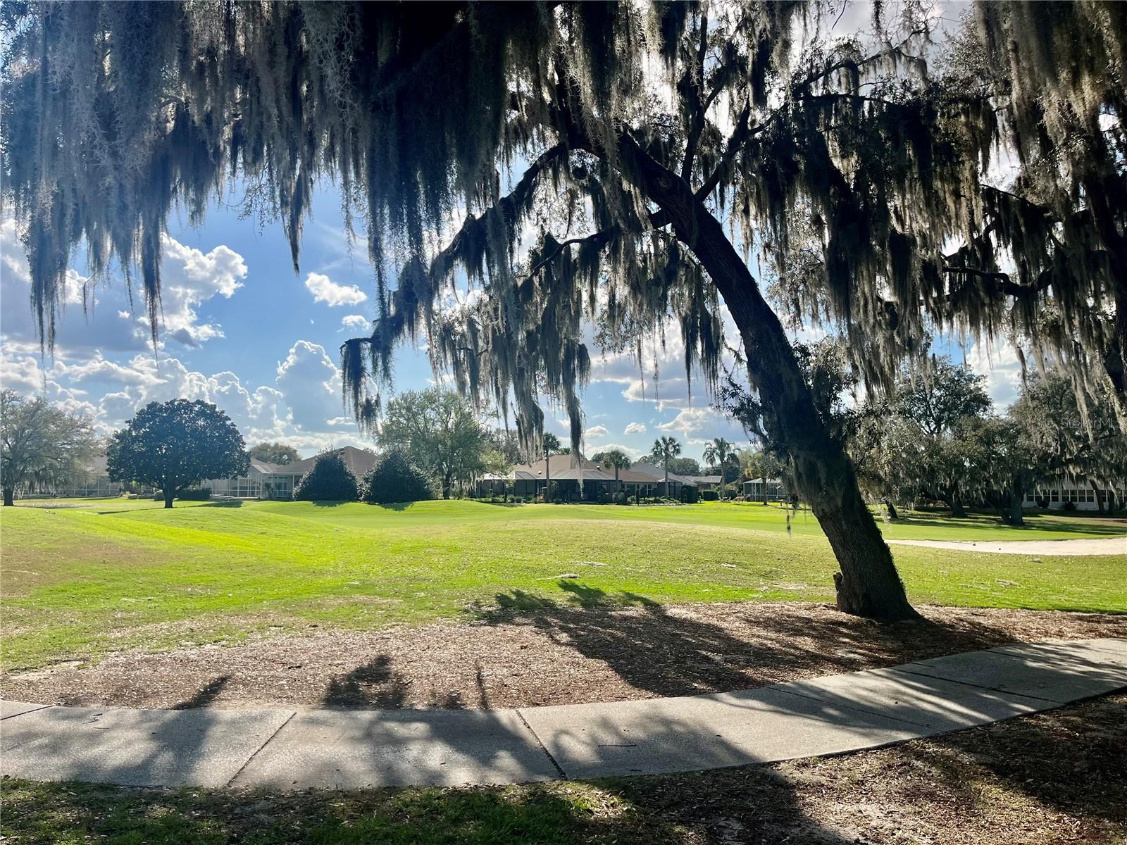 VILLAGES OF SUMTER - Residential