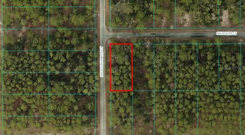 Photo of 13 SW South Court, Dunnellon, FL 34431 (MLS # OM724009)