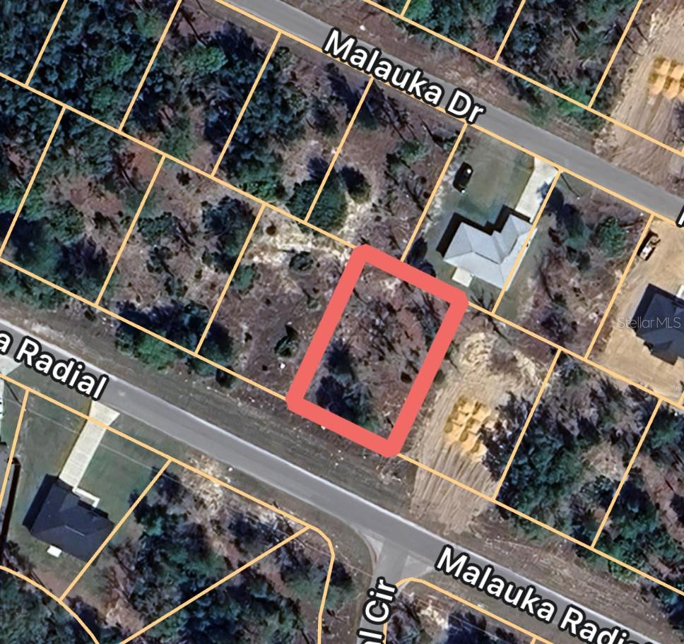 Check out this super nice .24 of an acre lot, zoned R-1, located in Ocklawaha, making for an easy commute to either Ocala or The Villages. NO HOA'S and NO flood zones, and ELECTRIC is already on the street. This one is ready to go! Call today to make it yours!