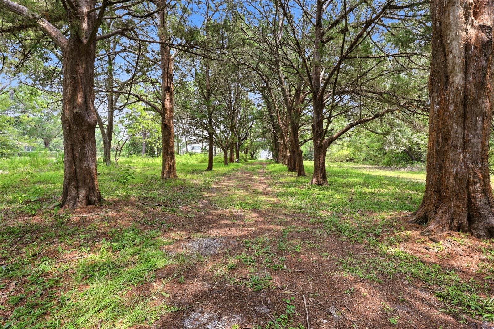95289 NASSAU RIVER ROAD