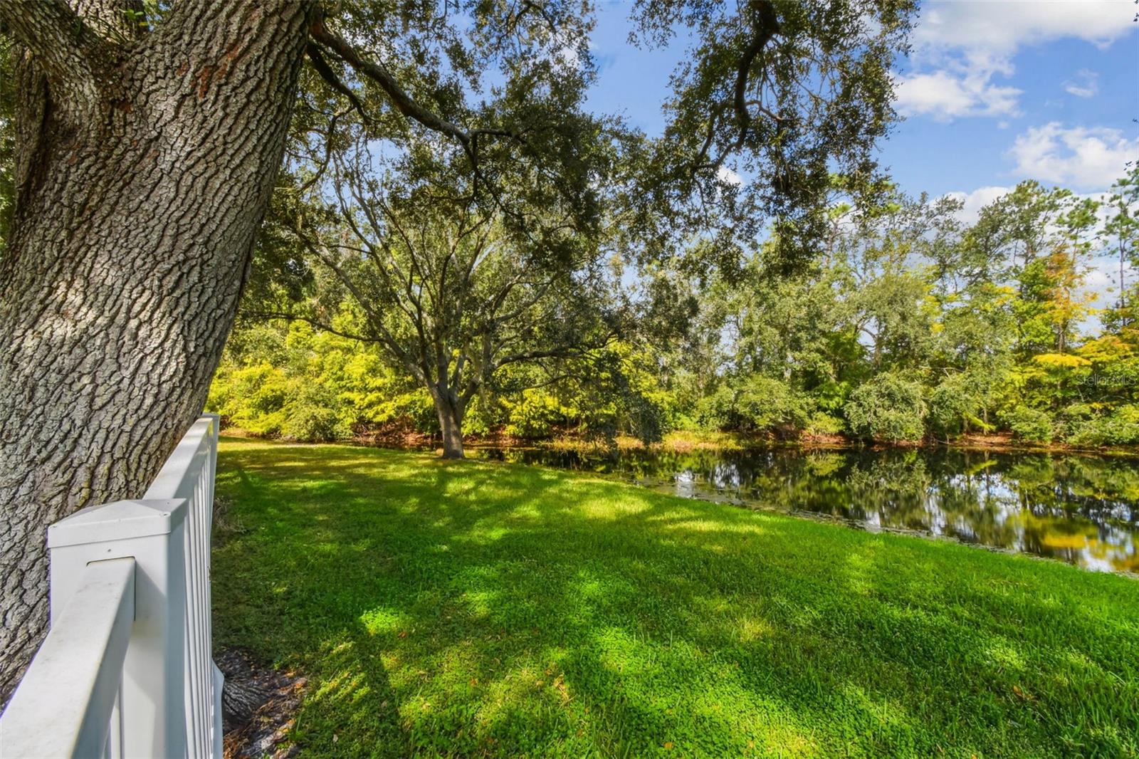 TAMPA PALMS - Residential