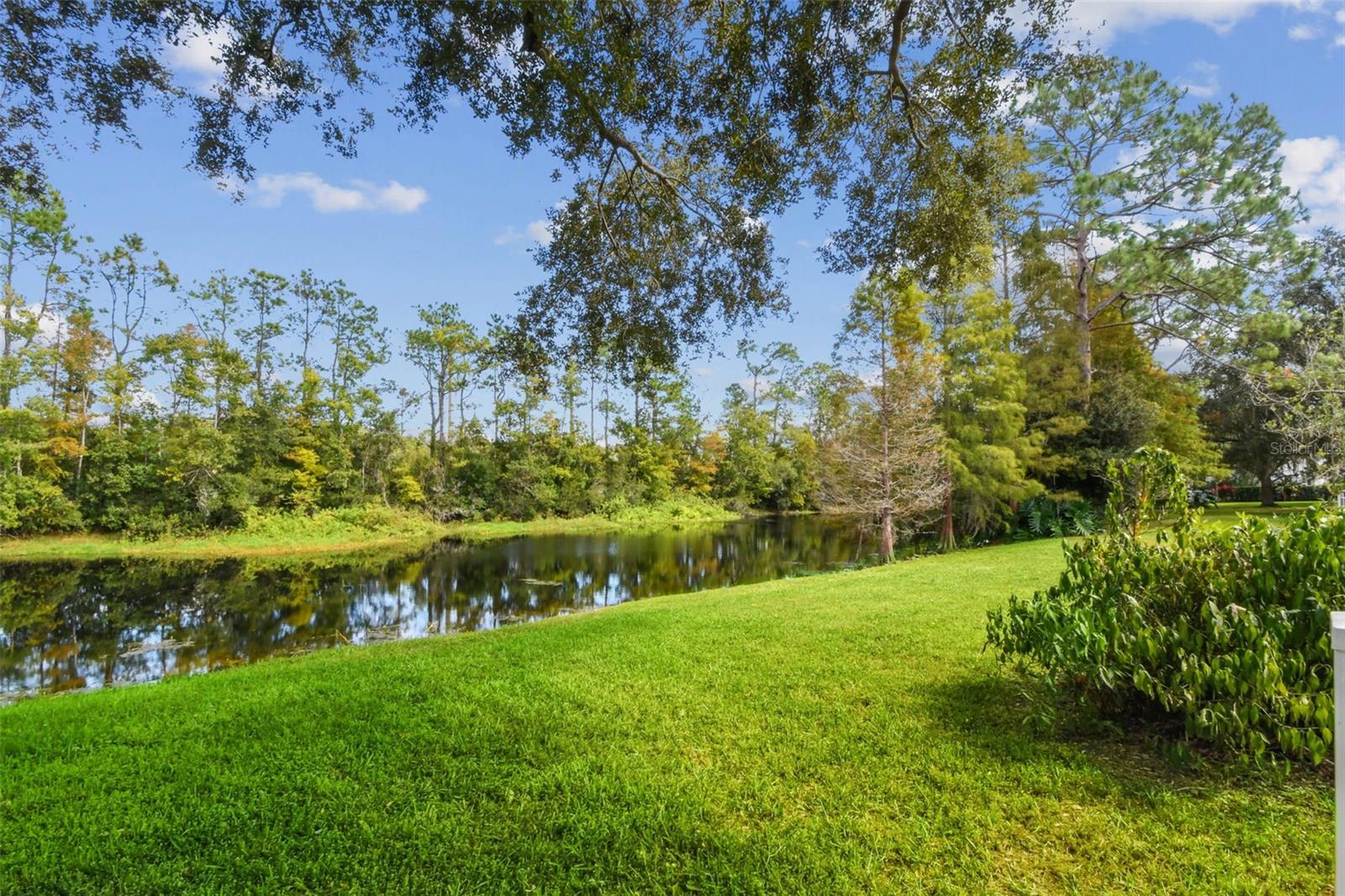 TAMPA PALMS - Residential