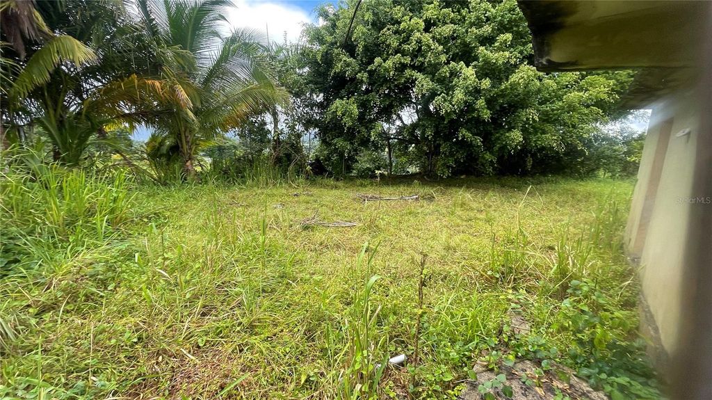 Photo of 908 Barrio Tejas, Yabucoa, PR 00767 (MLS # PR9117615)