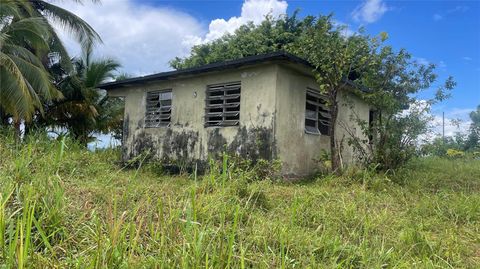 908 st BARRIO TEJAS YABUCOA  00767