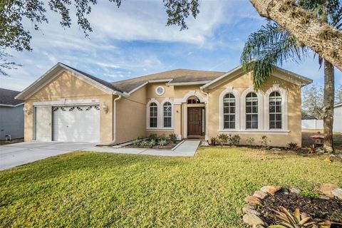 13029 HAVERHILL DRIVE SPRING HILL FL 34609