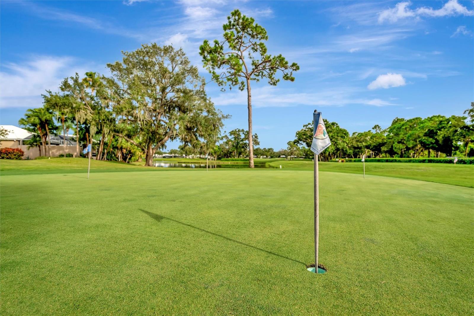 ROSEDALE 7 - Residential