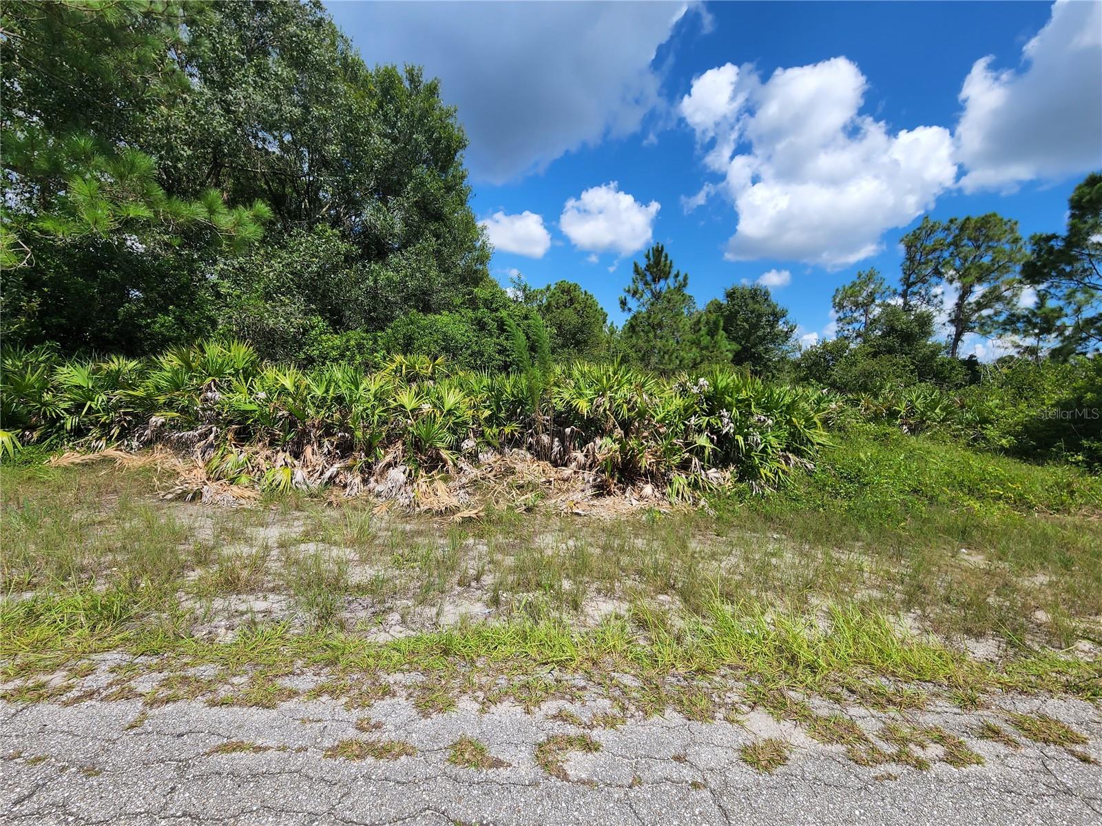 Great opportunity to build or invest in Lehigh Acres, FL. NO FLOOD ZONE!!! This spacious vacant lot located at 1402 State Ave offers 0.50 acres of land with an impressive 105 feet of frontage, providing plenty of space to design your ideal home with room for a garden, pool, garage, or more. Situated in a quiet residential neighborhood experiencing steady growth, the property offers convenient access to schools, shopping, dining, and major roadways. The lot has no HOA, and electricity is available nearby—making it ready for your next project. Whether you're a builder or a buyer looking for long-term value, this is a prime piece of land in one of Southwest Florida’s fastest-growing areas.