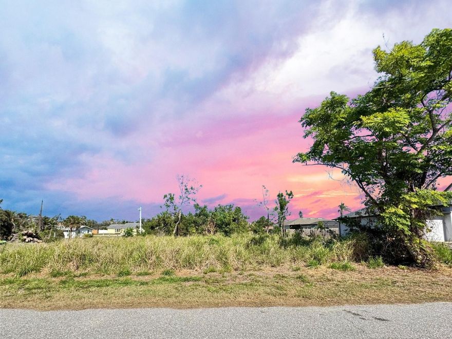 Located in the sought after community of South Venice. Electric near-by. Zoned for residential, 80x100, NO HOA, NOT IN A FLOOD ZONE, NO CDDs. 80x100 easement north of the property is owned and maintained by Sarasota county. Minutes to the Venice Beach Ferry which takes you to South Venice’s private beach, a private boat ramp and kayak access, all accessible with a low optional annual fee. Stop browsing and buy this one before it's gone!!! Now is the time to build your dream home or invest in your future! Opportunity rarely presents itself like this and when it does timing is everything! Don't let this rare opportunity pass you by!! Prime location. Conveniently located near restaurants, shopping, I-75, and US-41. Minutes to the historic downtown Venice and beautiful beaches known as the "Shark Tooth Capital of the World". Enjoy true Florida living; Hiking, biking, hunting, swimming, shelling, boating, fishing, bird watching, and beyond. Schedule a viewing today and let this dream home become your reality!