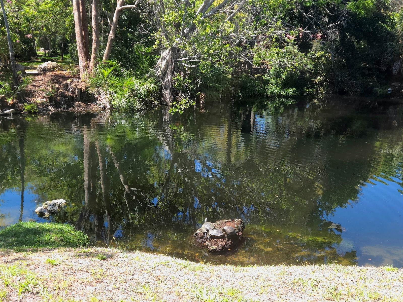 THE VILLAS AT WILD OAK BAY IV - Residential