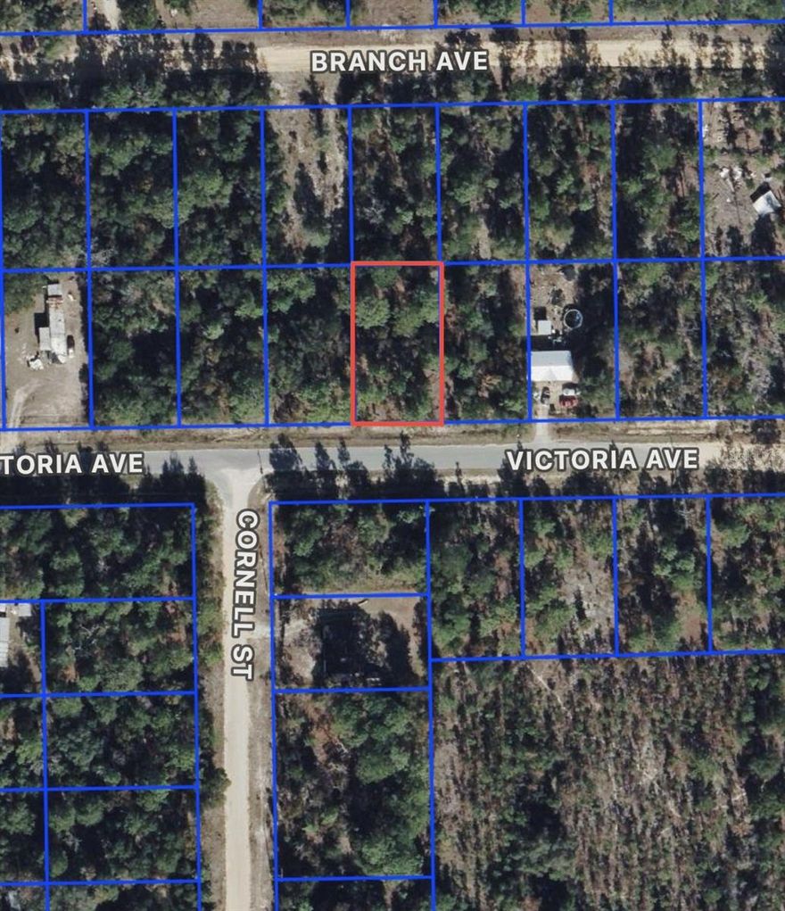 Great opportunity in Interlachen Lakes Estates with SELLER FINANCING available!
This 0.23-acre lot is conveniently located just minutes from State Road 20 and approximately 3 minutes from McDonald’s and other local conveniences. An excellent option to build your future home or secure a solid investment in a growing area. Easy access and flexible terms make this a great opportunity for buyers seeking affordability and potential.