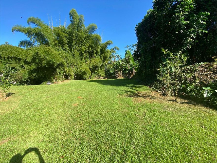 Irregularly shaped parcel of land consisting of a total of one point eight seven eight cuerdas (1.878) (4,841 square meters = 52,105 square feet).