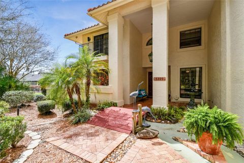 A home in WESLEY CHAPEL