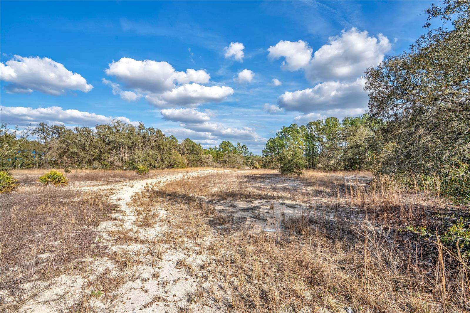 RIDGE MANOR ESTATE - Land