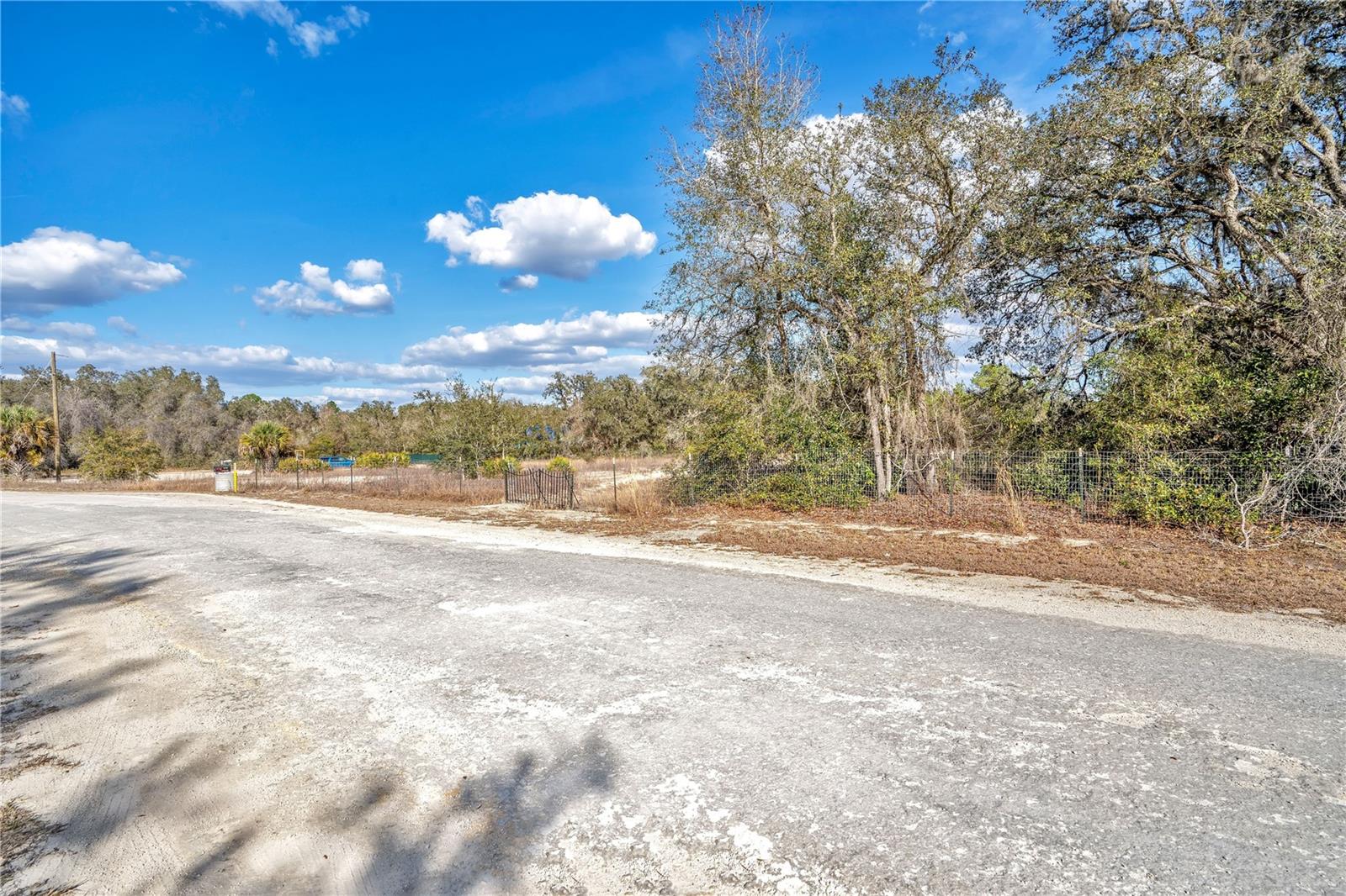 RIDGE MANOR ESTATE - Land