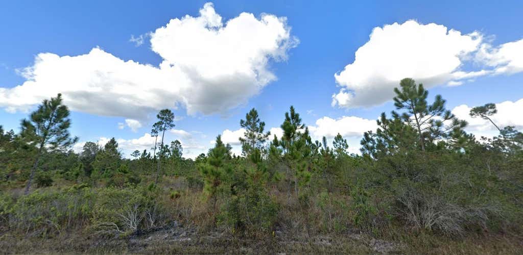 Photo of 1017 Portulaca Drive, Indian Lake Estates, FL 33855 (MLS # A4701724)