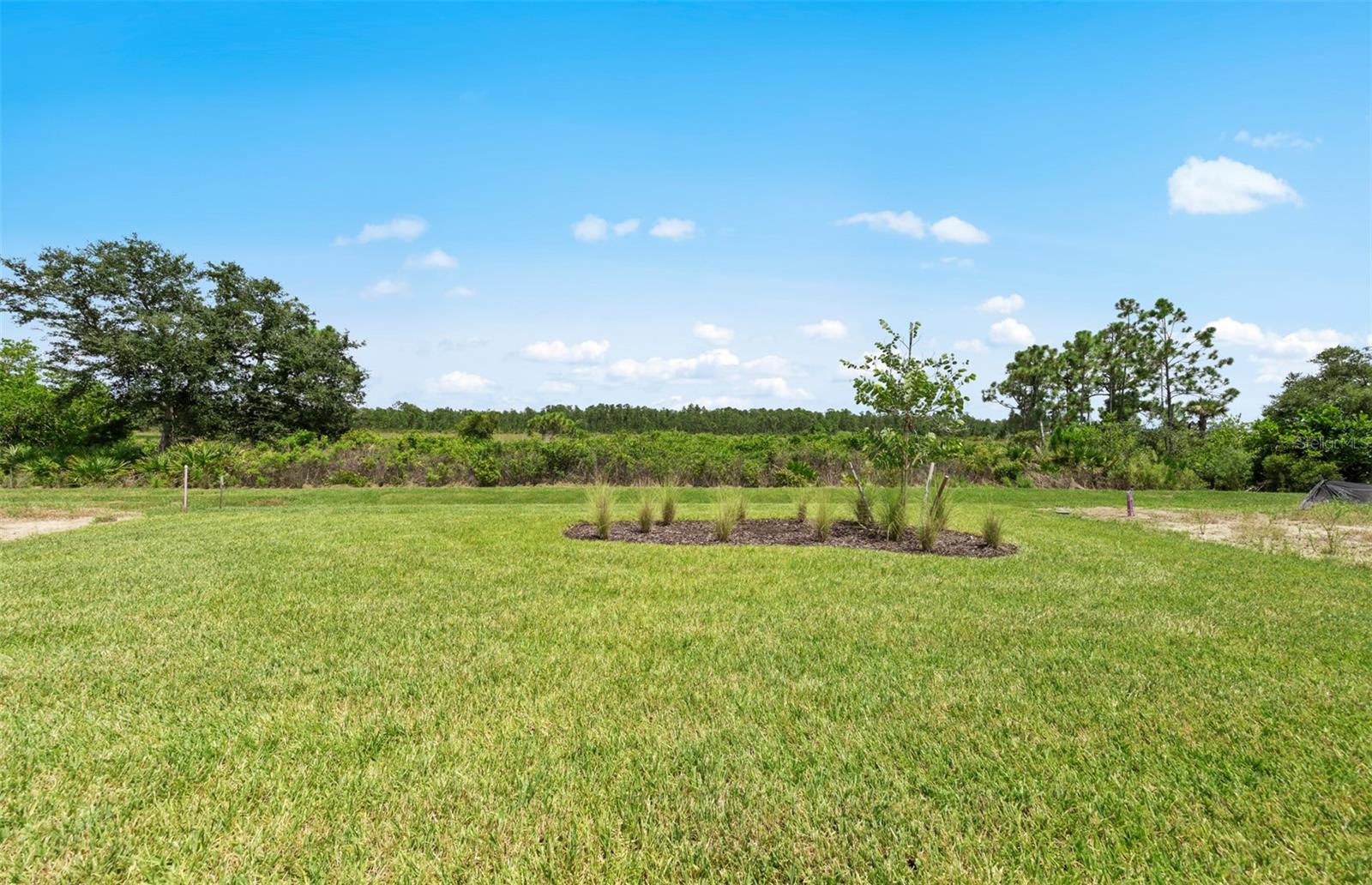 3458 - STRAND AT CEDAR GROVE - Residential