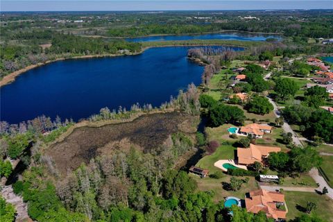 Tiny photo for 12811 Bellerive Drive, Clermont, FL 34711 (MLS # O6391689)