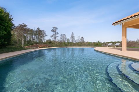 Tiny photo for 12811 Bellerive Drive, Clermont, FL 34711 (MLS # O6391689)