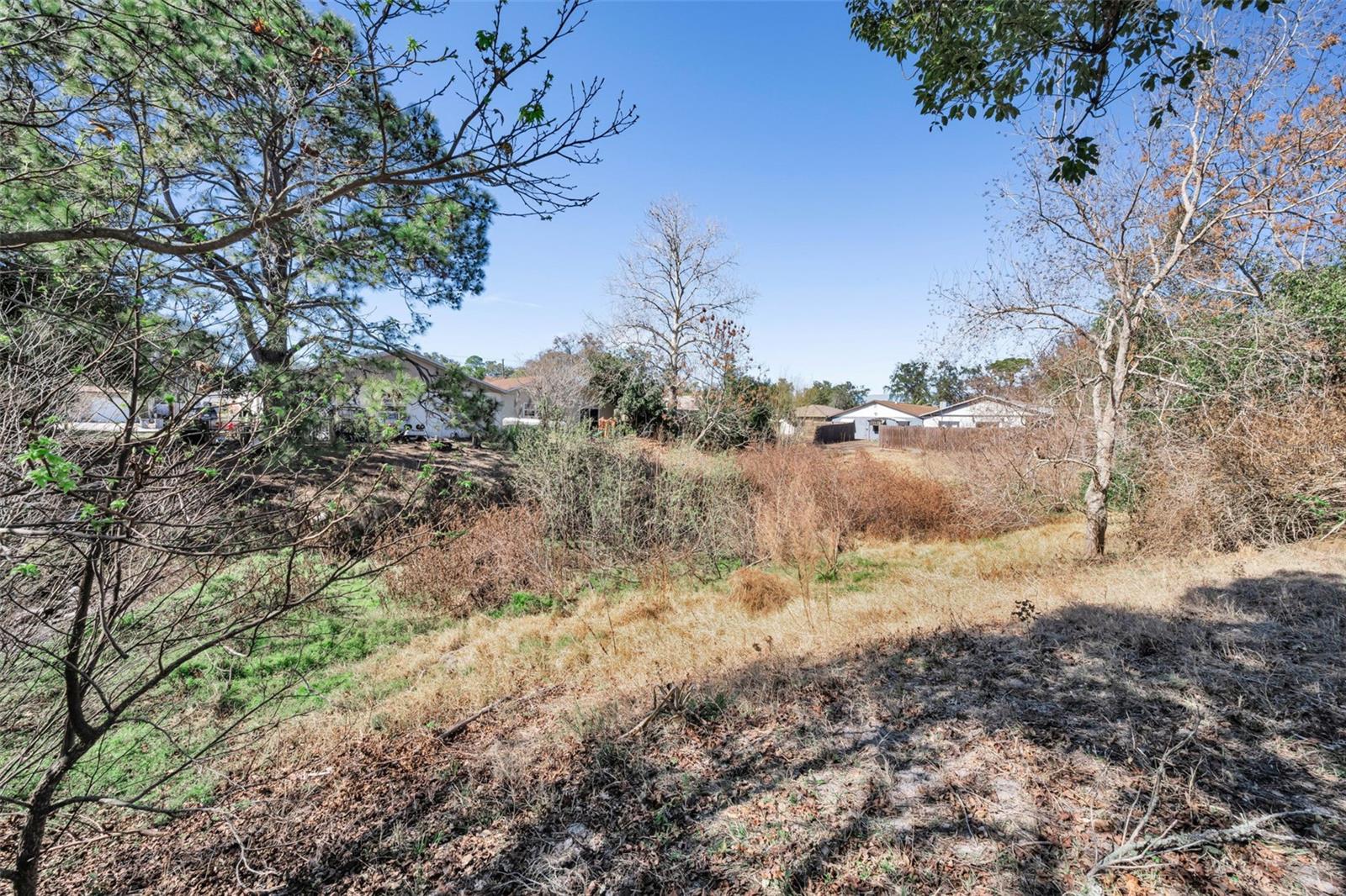 SHADOW RIDGE - Residential