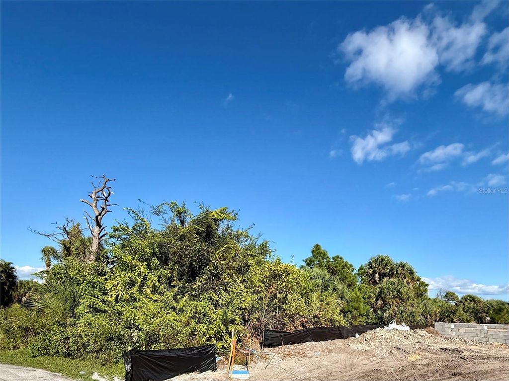 Photo of 3470 Ethlyn Lane, Rotonda West, FL 33947 (MLS # C7517798)