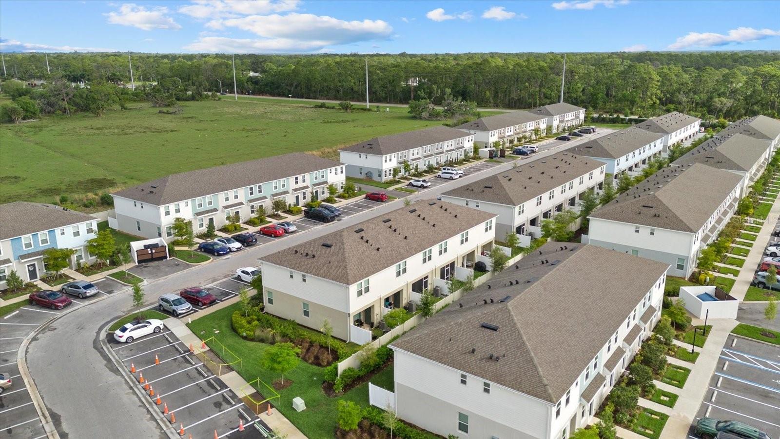 SKYE RANCH NBRHD 2 TWNHMS NORT - Residential