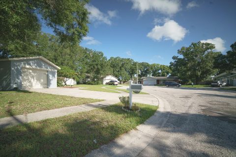 A home in RIVERVIEW