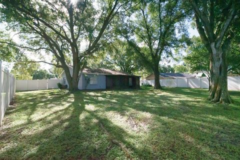 A home in RIVERVIEW