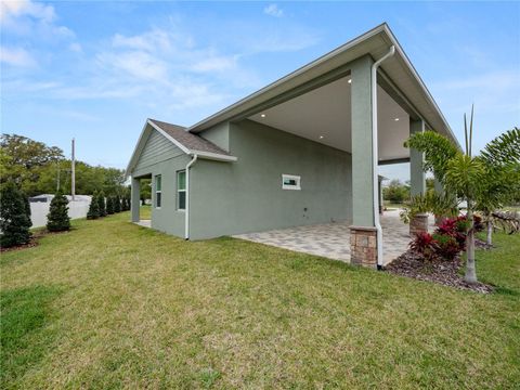 A home in POLK CITY