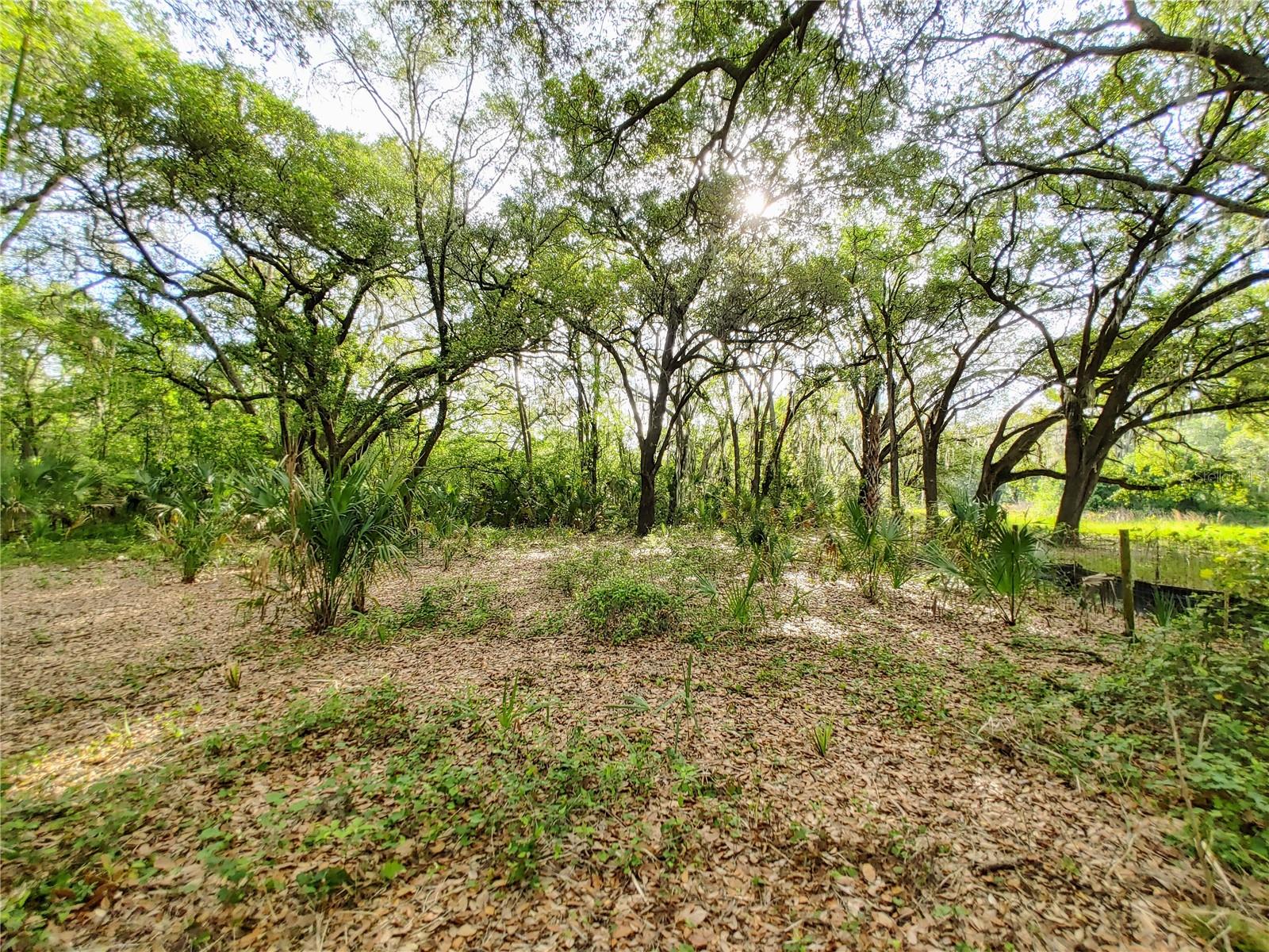 HOLLEY HEIGHTS UNIT 01 - Land