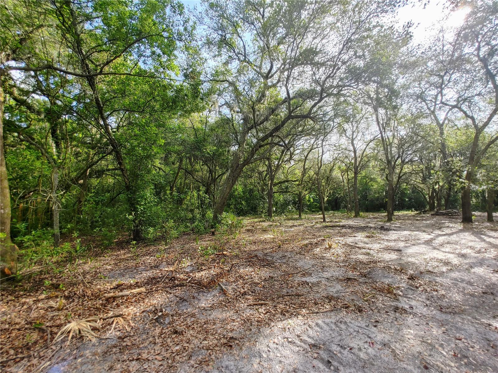 HOLLEY HEIGHTS UNIT 01 - Land