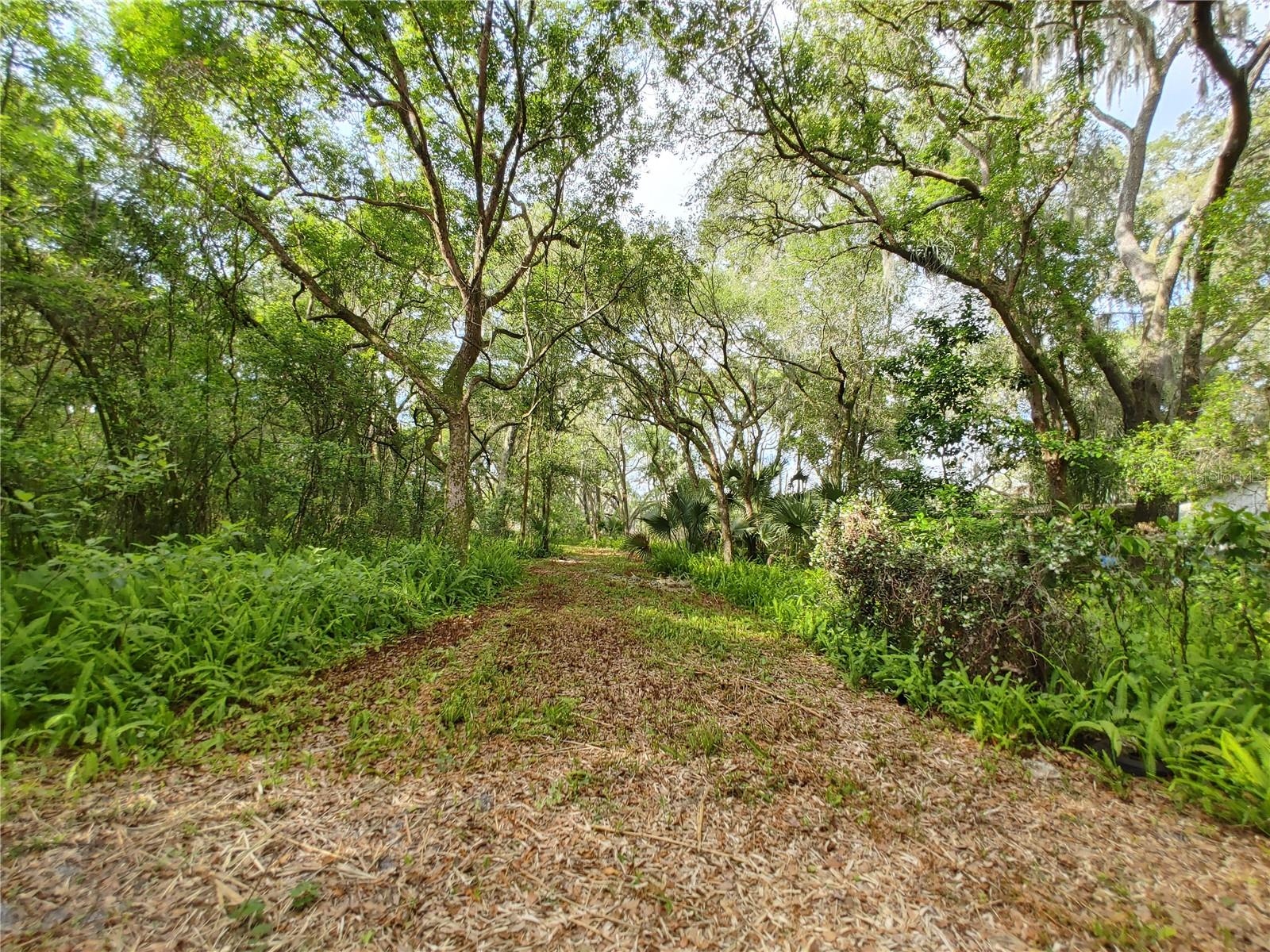 HOLLEY HEIGHTS UNIT 01 - Land