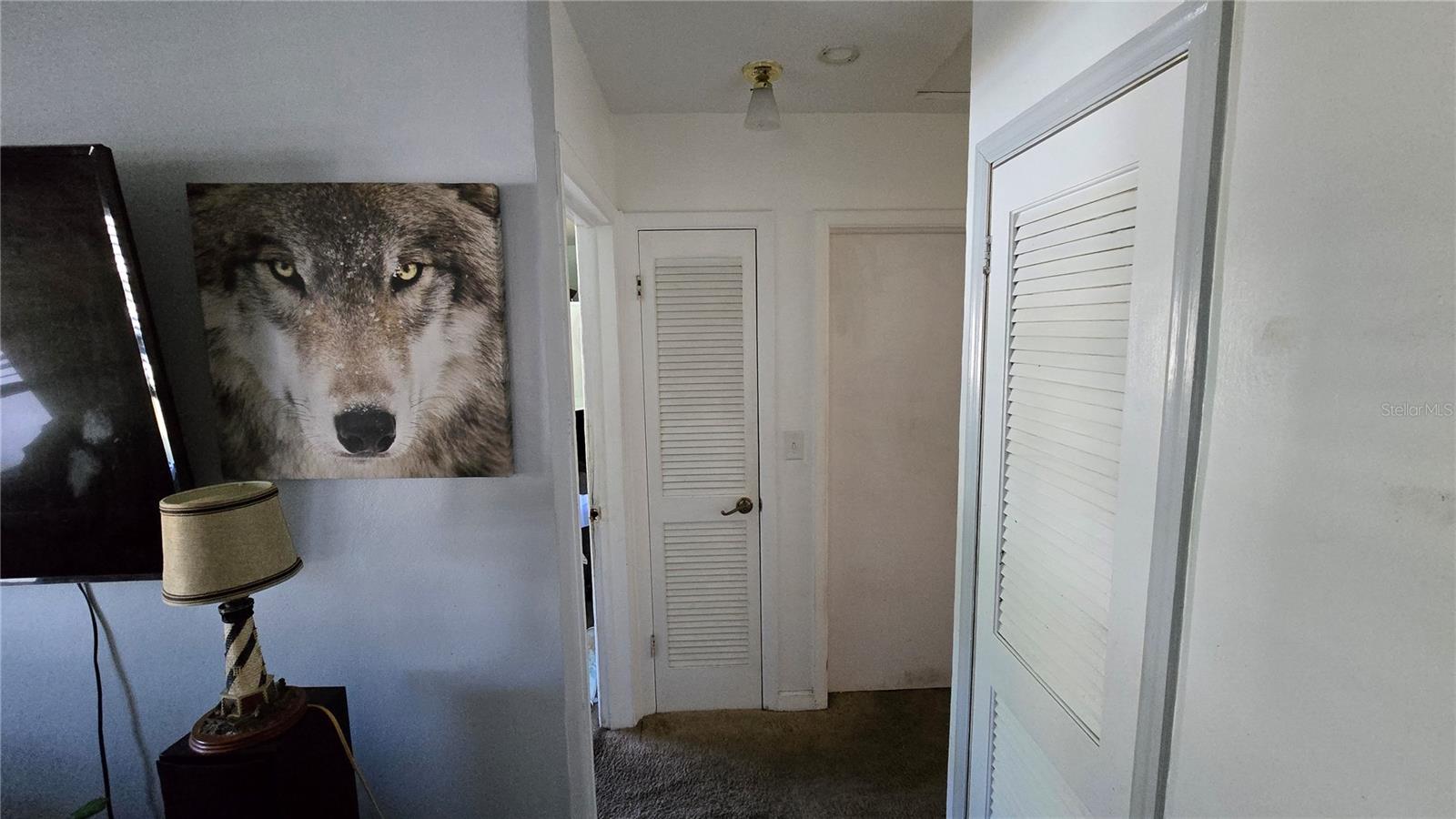 METEOR PLAZA - Residential