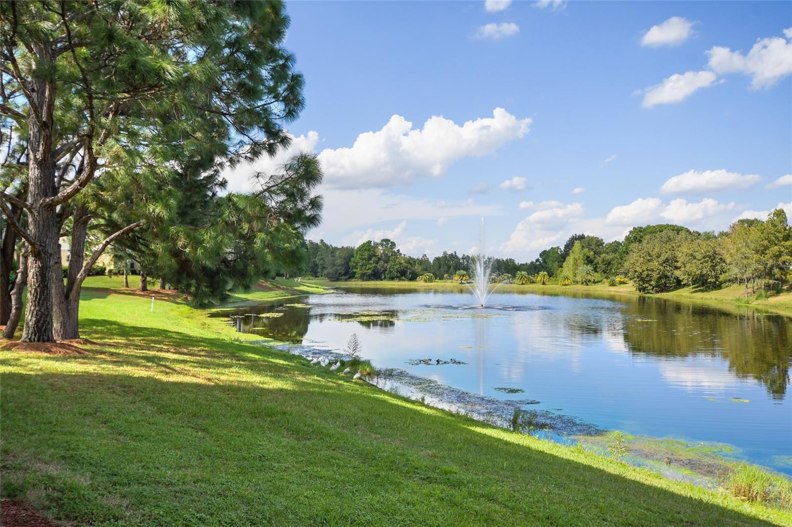 8817 DUNES COURT 102