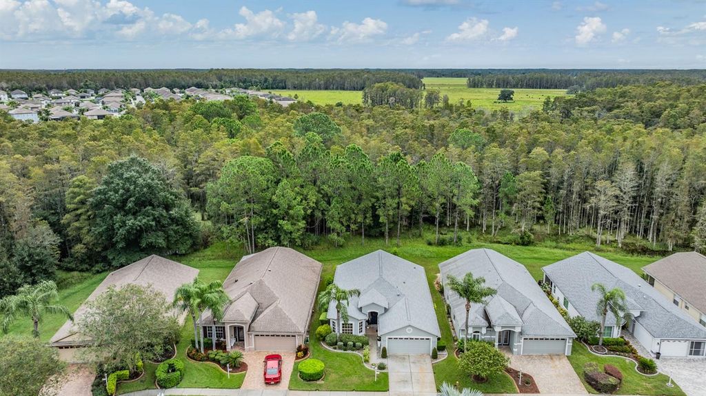 Photo of 12050 Yellow Finch Lane, Trinity, FL 34655 (MLS # W7869002)