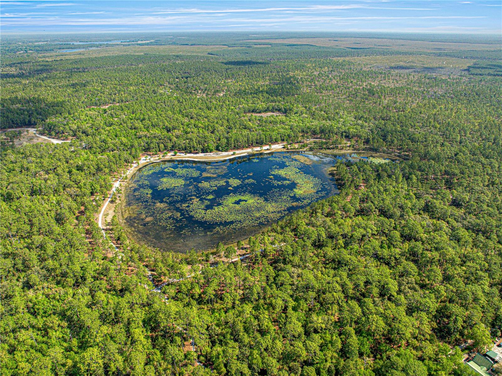 FOREST LAKES PARK - Residential